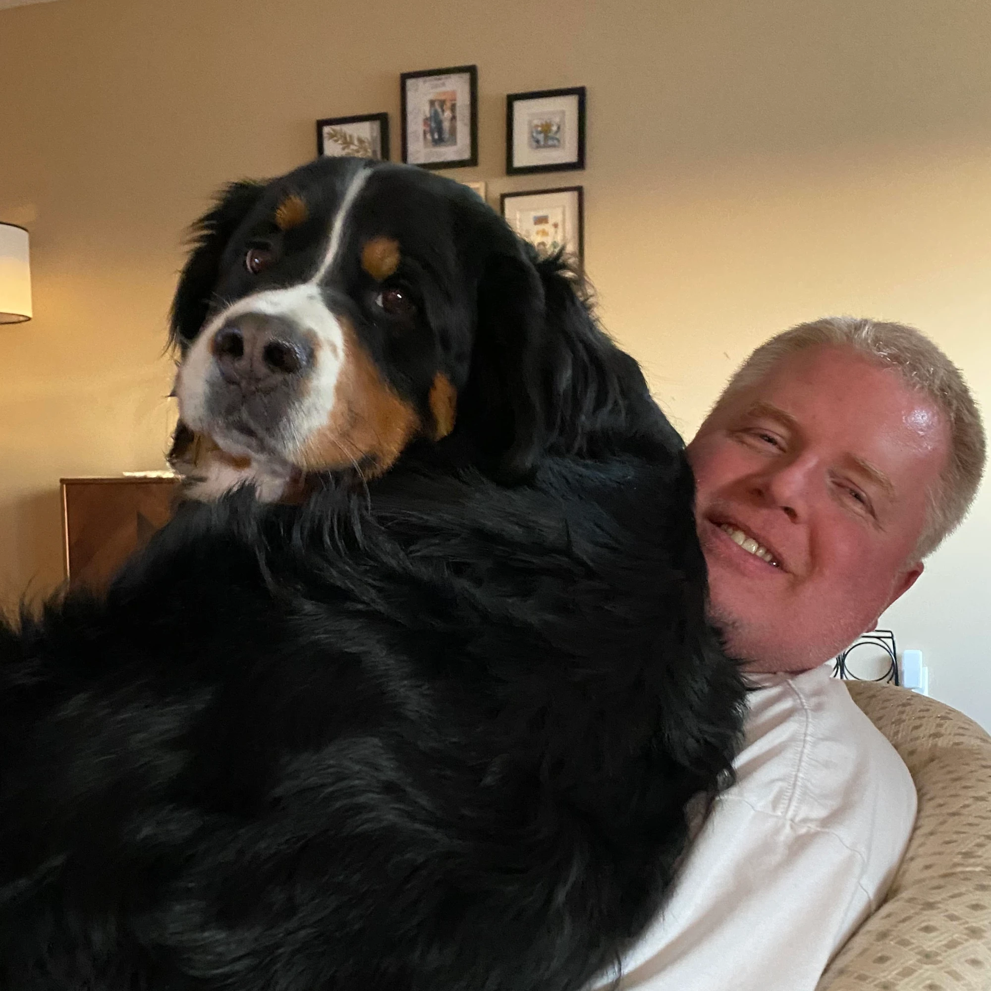 Rick Possett, Zoho consultant, with his Bernese Mountain Dog, Henry